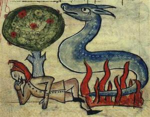 Salamandra
