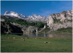 Parque Nacional de Picos de Europa