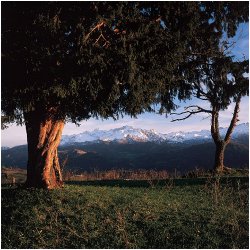 Parque Nacional de Picos de Europa