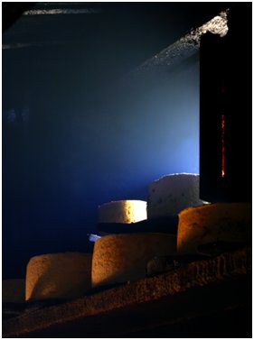 Galería de gastronomía